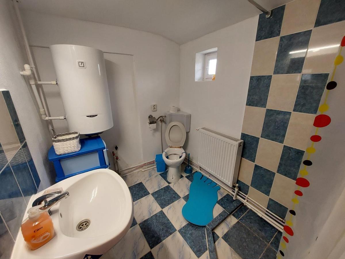 Cabana Casa Lu'Baciu Arpaşu de Sus Εξωτερικό φωτογραφία