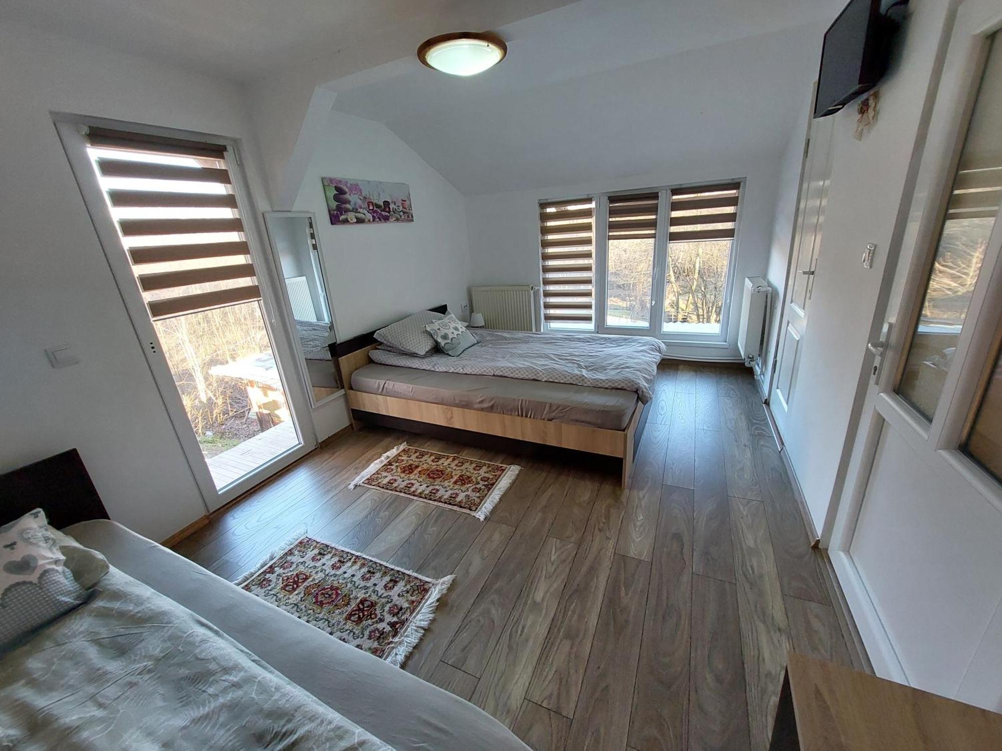 Cabana Casa Lu'Baciu Arpaşu de Sus Εξωτερικό φωτογραφία